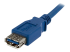 StarTech.com 1m Blue SuperSpeed USB 3.0 Extension Cable A to A - Nærbilde