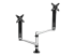 StarTech.com Desk Mount Dual Monitor Arm - Fremsiden
